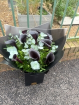 Black Calla